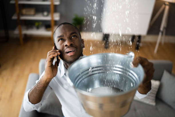 Best Water damage restoration near me  in Yountville, CA