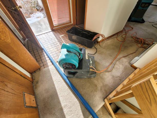 Best Fire Damage Restoration  in Yountville, CA