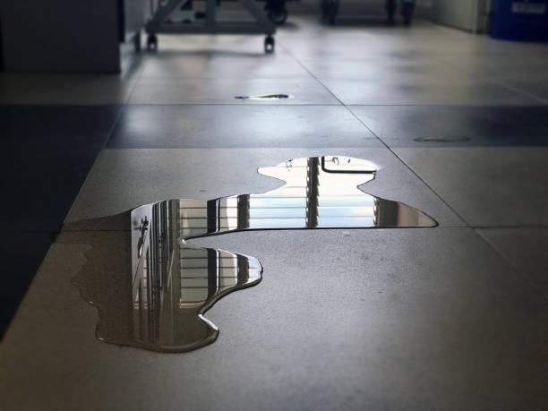 Best 24/7 water damage repair  in Yountville, CA