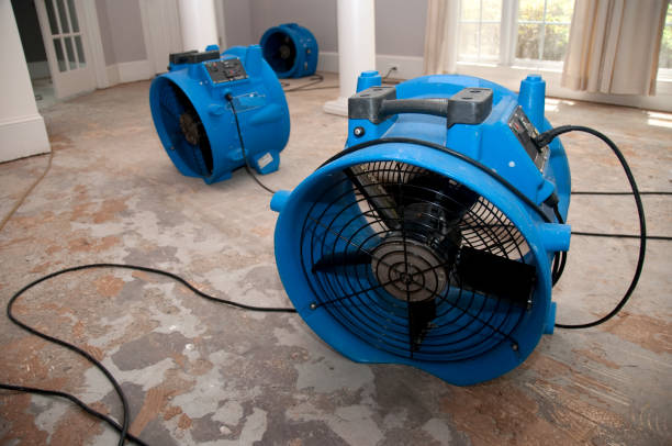 Best Water damage cleanup near me  in Yountville, CA