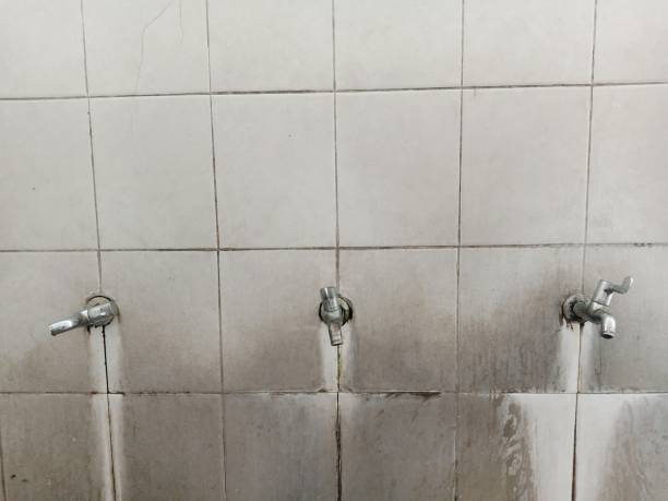 Best Water damage cleanup near me  in Yountville, CA
