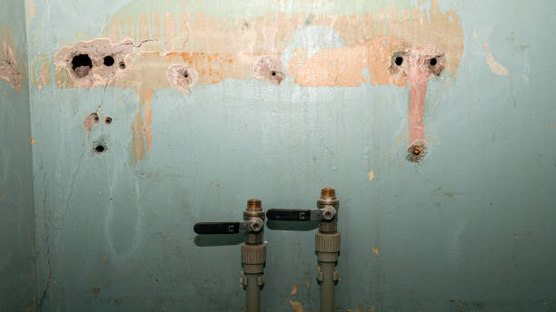 Best Emergency water damage restoration  in Yountville, CA