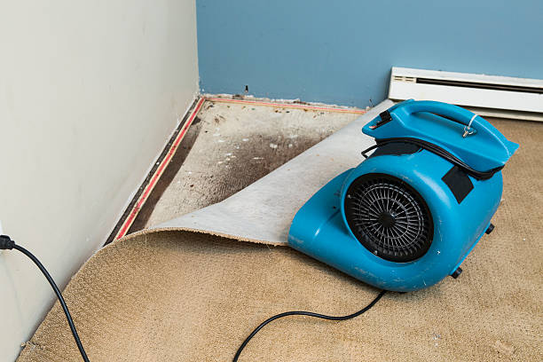 Best Water damage contractors near me  in Yountville, CA